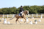 SBM_012529