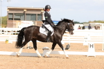 SBM_02063