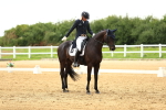SBM_006713