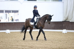 SBM_001037