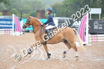 D8D_7097