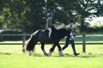 SBM_36721