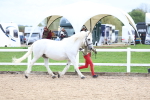 SBM_05826