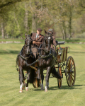 Attelage -711