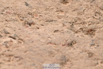 240912A-151135-02102