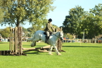 SBM_37378