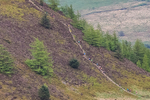 Lords Seat-11
