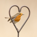 I love Robins SD2554