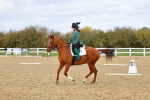 SBM_002615