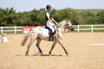 SBM_008557