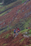 Langdale-14