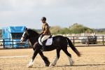 SBM_001699