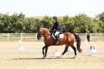 SBM_003384