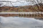 Reflections 2