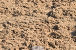 240509A-090556-00431