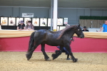 SBM_16598