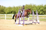 SBM_001117