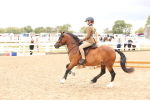 SBM_06250