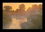 Golden Dawn
