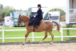 SBM_03324
