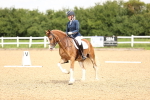 SBM_000915
