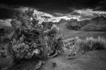 Desert Storm