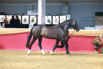 SBM_02270