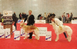 females CAC, RCAC