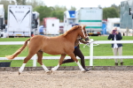 SBM_02449