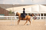 SBM_06729