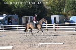 BPP_8935
