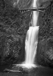 1769 - Multnomah Falls 1