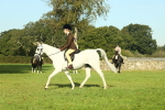 SBM_59205