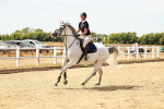 SBM_003394