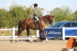 SBM_02339