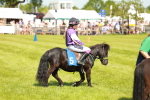 SBM_04339