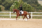 SBM_01436