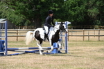 WJ6_5321
