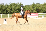 SBM_010197