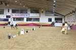 SBM_10296