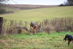 WJ5_6144