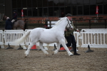SBM_004086