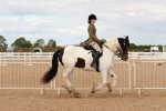 SBM_15667