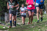 Dovedale-1350