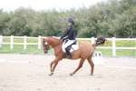 SBM_006585
