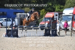 BPP_8012