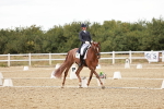 SBM_006804