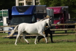 SBM_00747