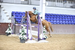 SBM_002593