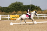 SBM_004206